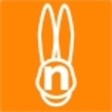 rabbit-ninin